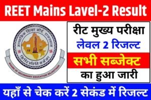 REET Mains Level 2 Subject Wise Result 2023