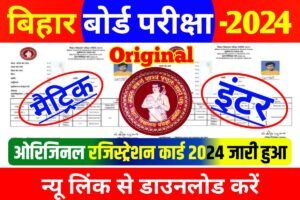 BSEB 10th 12th Original Registration Card 2024 Download