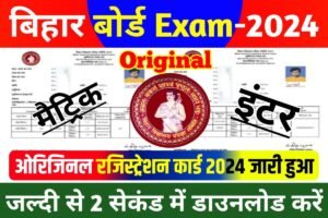 BSEB 10th 12th Original Registration Card 2024 Download Link